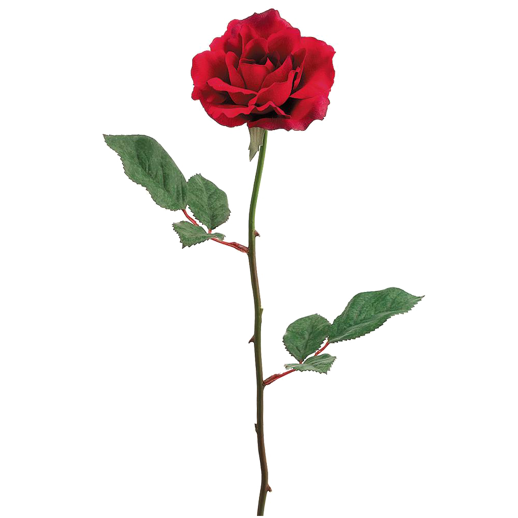 Rose Spray, Red