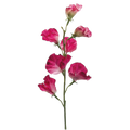 Sweet Pea Spray, Fuchsia/White