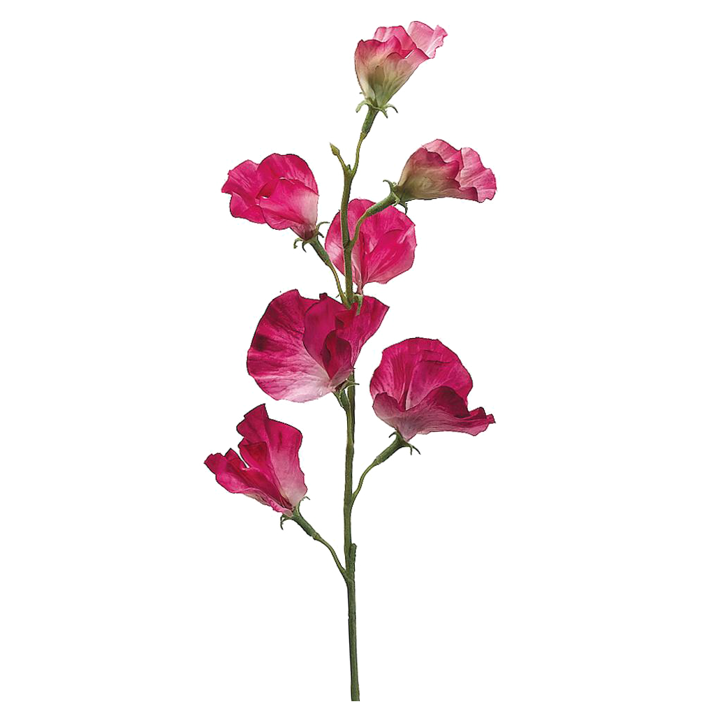 Sweet Pea Spray, Fuchsia/White