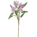 Wild Stock Spray, Pink