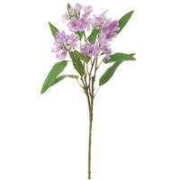 Wild Stock Spray, Pink