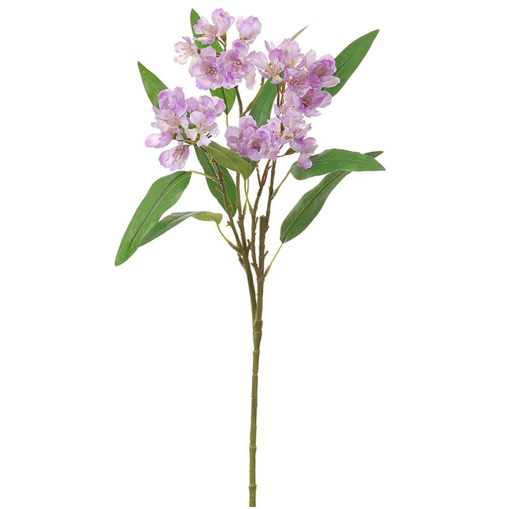 Wild Stock Spray, Pink